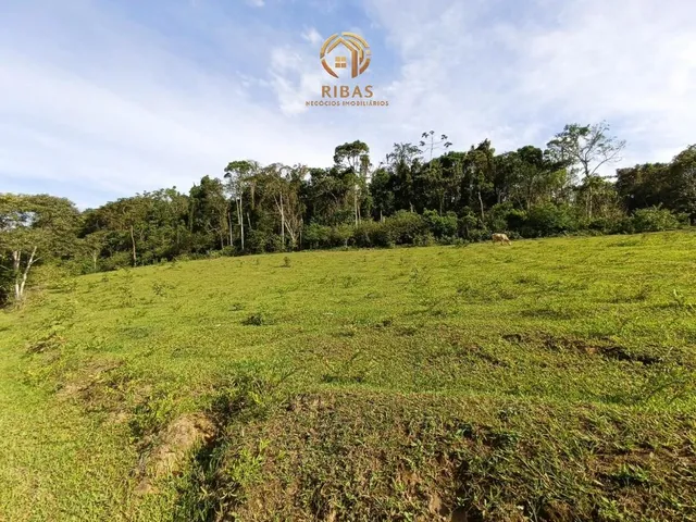Imagem 13: Chacara Estrada Guamiranga - Araquari Sc