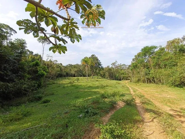 Imagem 4: Chacara Estrada Guamiranga - Araquari Sc