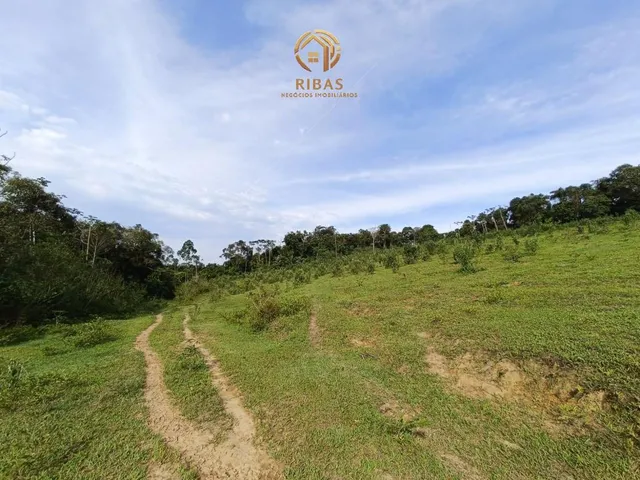 Imagem 14: Chacara Estrada Guamiranga - Araquari Sc