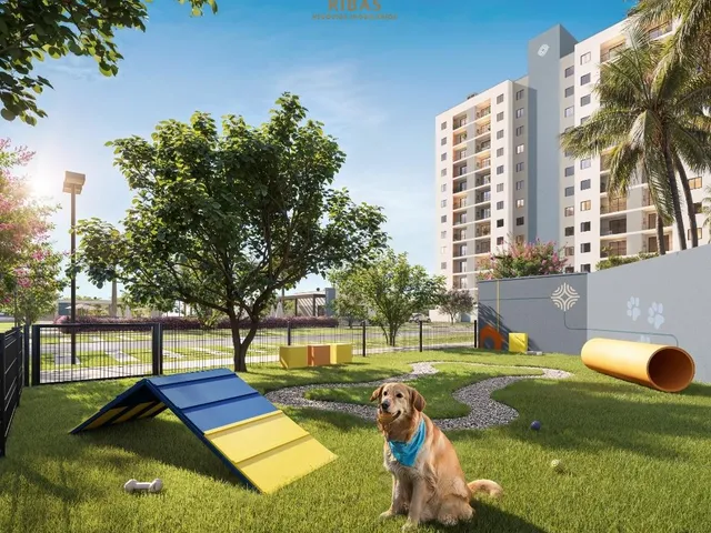 Imagem 4: Lançamento Rottas Construtora Itajubá Casamar, Um Investimento À Beira do Sucesso