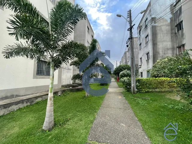 Imagem 5: Apartamento À Venda no Pq Jd Petróplis I, 2/4, Sala, Wc Social, em Ótimo Local