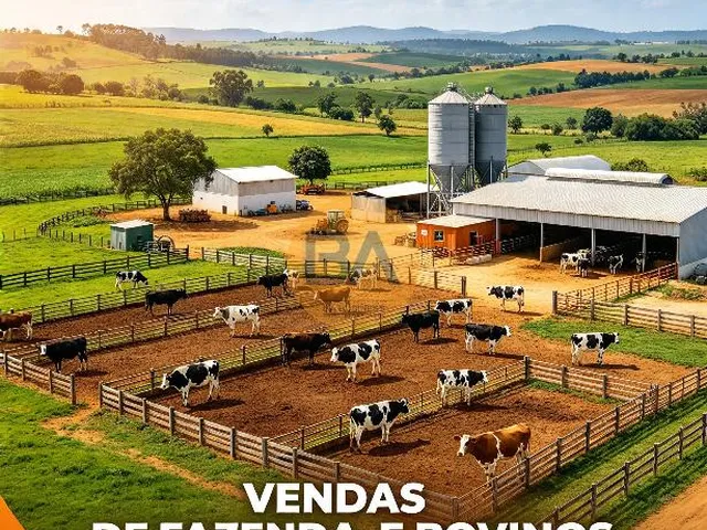 Imagem 13: Imóveis e Ativos Estratégicos
