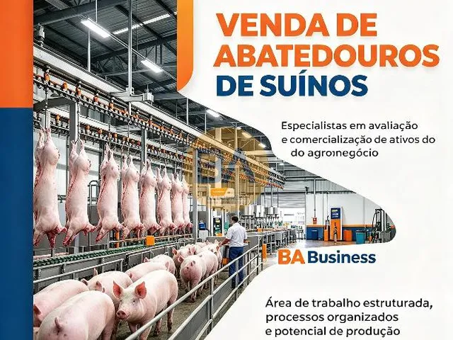 Imagem 15: Imóveis e Ativos Estratégicos