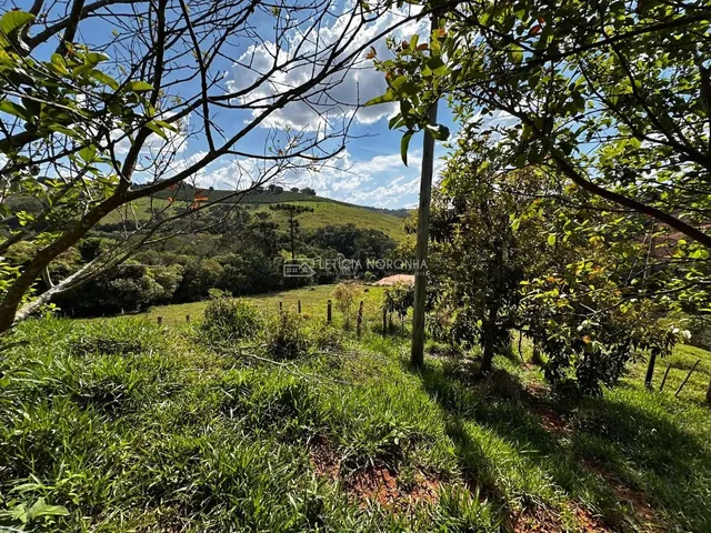 Imagem 6: Chácara com 1 Quarto À Venda, Sítio Córrego da Onça - Carmo de Minas
