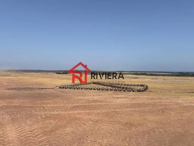 Imagem 8: Fazenda Rural em Paragominas - Pa, Célio Miranda