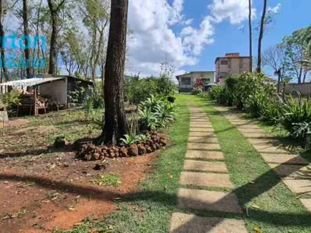 Imagem 8: 0 Chácara com 3 dormitórios