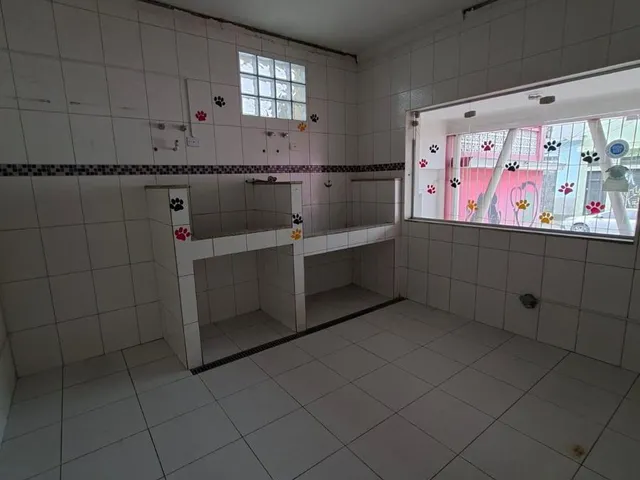 Imagem 16: Bussiness Premises em São Paulo - São Paulo, Jardim Maringá