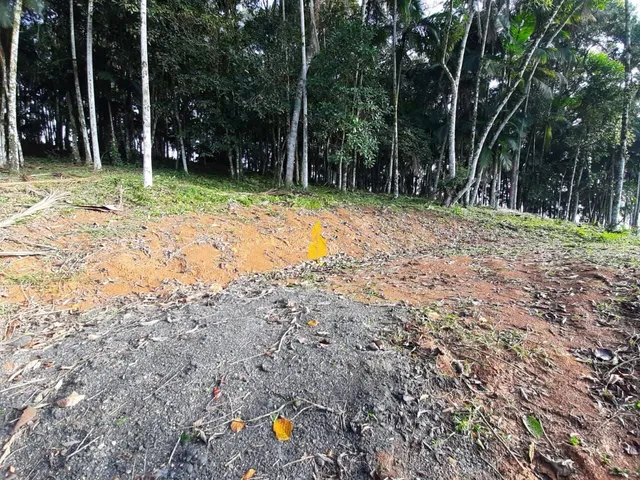 Imagem 5: Terreno em Condomínio