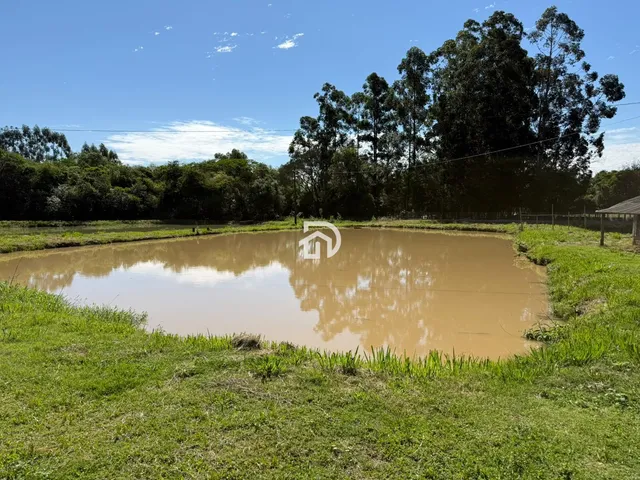Imagem 8: 2 Alqueires em São Clemente em santa Helena-Pr