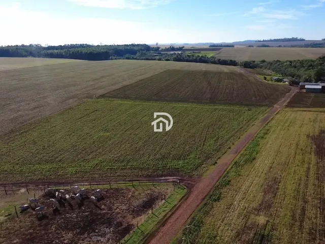 Imagem 3: Àrea de Terra com Confinamento em santa Helena Velha