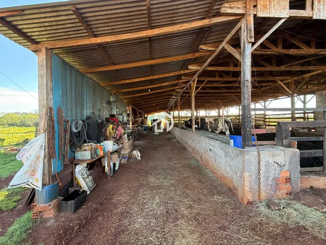 Imagem 12: Àrea de Terra com Confinamento em santa Helena Velha