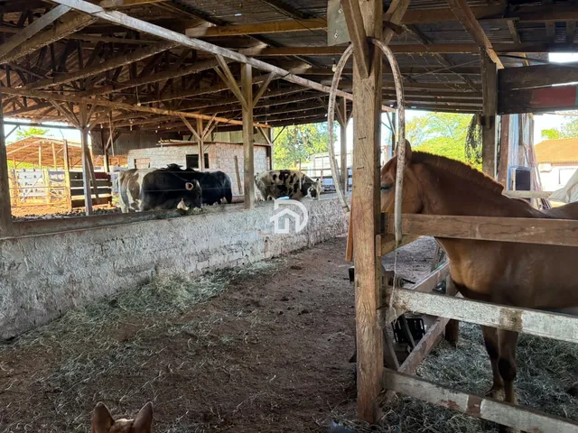 Imagem 9: Àrea de Terra com Confinamento em santa Helena Velha