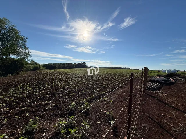 Imagem 7: Àrea de Terra com Confinamento em santa Helena Velha
