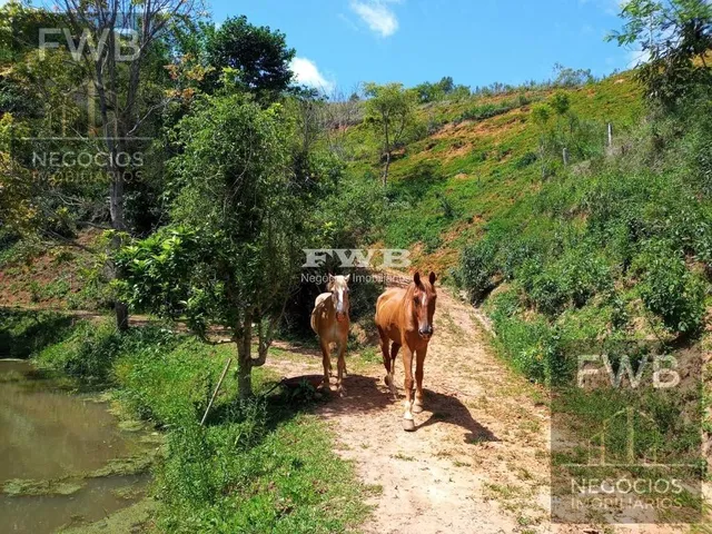 Imagem: Terreno no Vale das Videiras, Petropolis