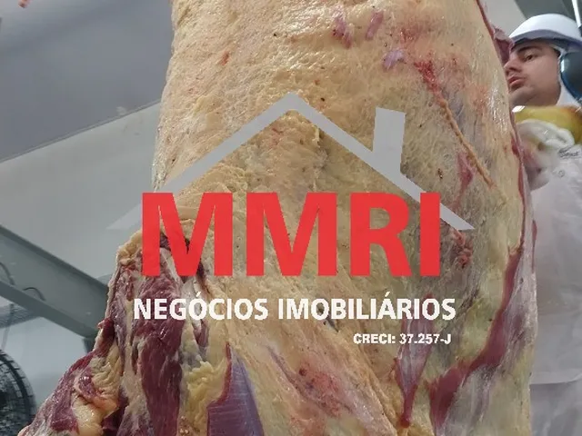 Imagem 16: Frigorifico Industrial em Inhumas - Go, Área Rural