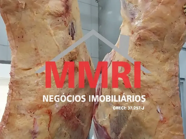 Imagem 3: Frigorifico Industrial em Inhumas - Go, Área Rural