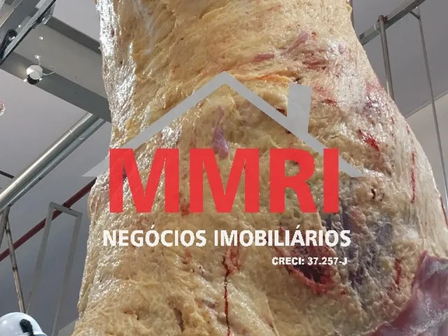 Imagem 9: Frigorifico Industrial em Inhumas - Go, Área Rural