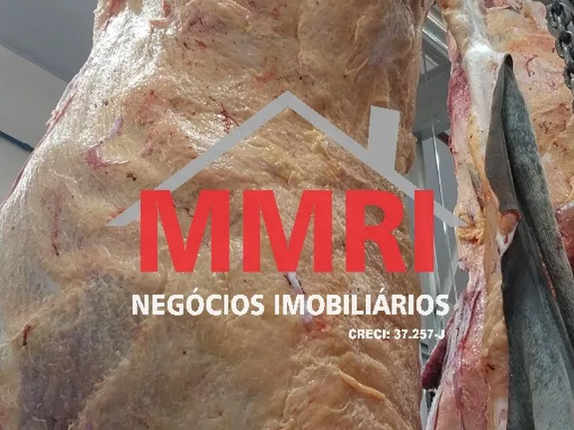 Imagem 14: Frigorifico Industrial em Inhumas - Go, Área Rural