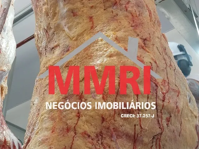 Imagem 15: Frigorifico Industrial em Inhumas - Go, Área Rural