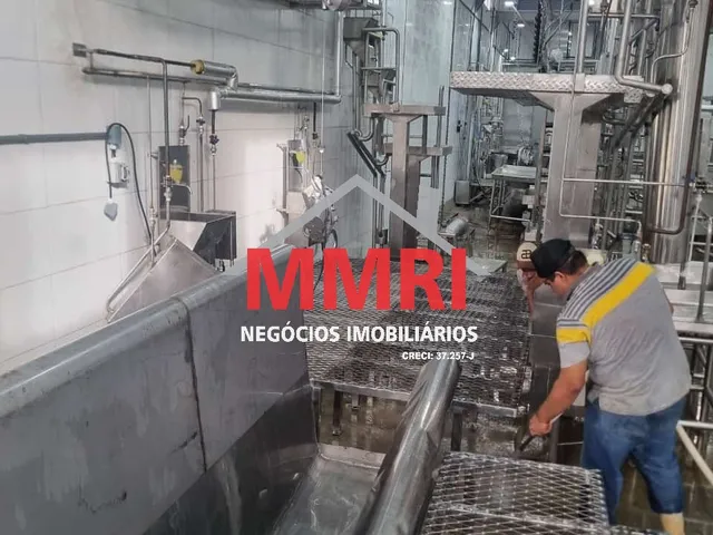 Imagem 7: Frigorifico Industrial em Inhumas - Go, Área Rural