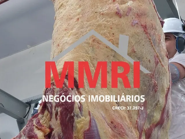 Imagem 6: Frigorifico Industrial em Inhumas - Go, Área Rural