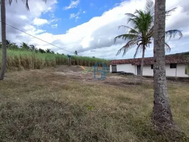 Imagem: Fazenda com 10 Hectares em Arez - Rio Perene