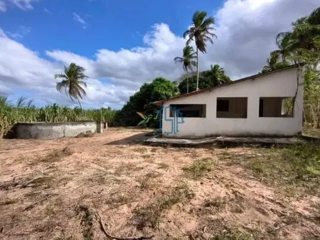 Imagem 5: Fazenda com 10 Hectares em Arez - Rio Perene, Poços e Viveiros
