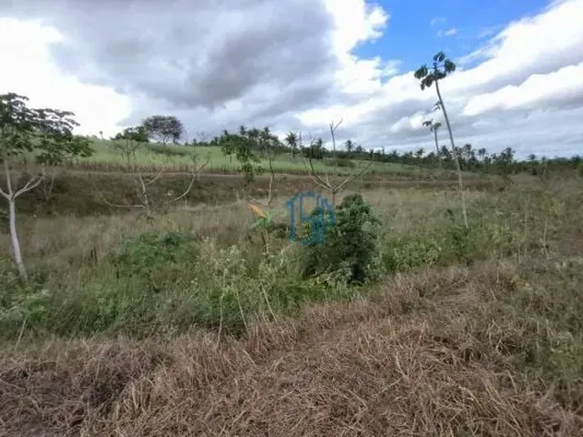 Imagem 2: Fazenda com 10 Hectares em Arez - Rio Perene, Poços e Viveiros
