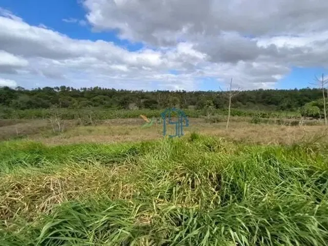 Imagem 7: Fazenda com 10 Hectares em Arez - Rio Perene, Poços e Viveiros