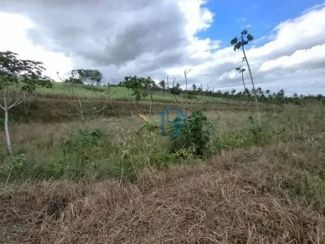 Imagem 15: Fazenda com 10 Hectares em Arez - Rio Perene, Poços e Viveiros