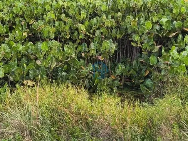 Imagem 9: Fazenda com 10 Hectares em Arez - Rio Perene, Poços e Viveiros