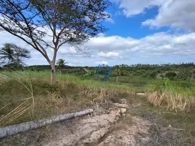 Imagem 13: Fazenda com 10 Hectares em Arez - Rio Perene, Poços e Viveiros