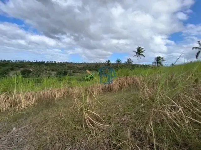 Imagem 3: Fazenda com 10 Hectares em Arez - Rio Perene, Poços e Viveiros