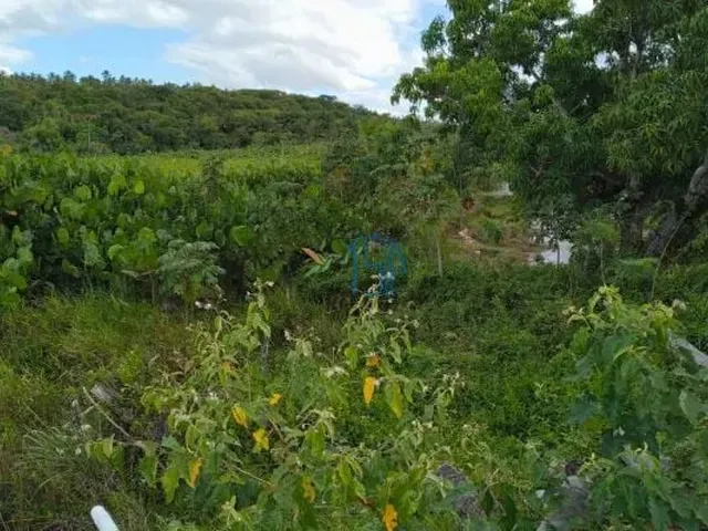 Imagem 6: Fazenda com 10 Hectares em Arez - Rio Perene, Poços e Viveiros