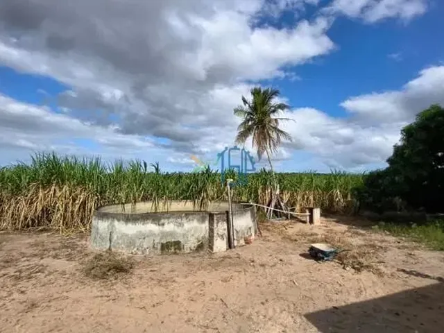 Imagem 8: Fazenda com 10 Hectares em Arez - Rio Perene, Poços e Viveiros