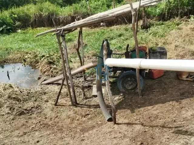 Imagem 16: Fazenda com 10 Hectares em Arez - Rio Perene, Poços e Viveiros