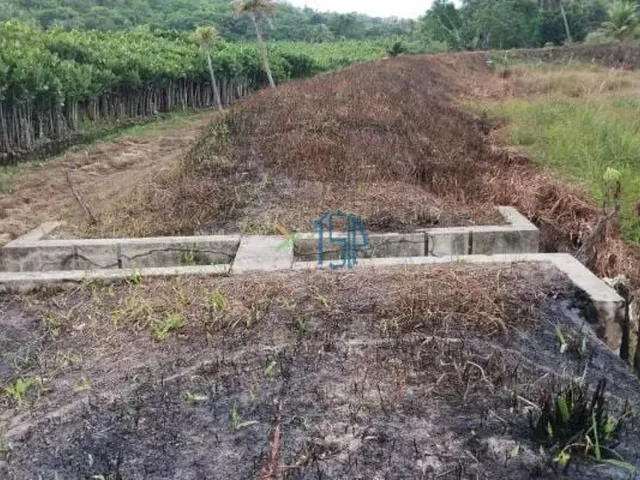 Imagem 11: Fazenda com 10 Hectares em Arez - Rio Perene, Poços e Viveiros