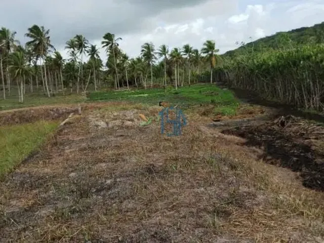 Imagem 10: Fazenda com 10 Hectares em Arez - Rio Perene, Poços e Viveiros