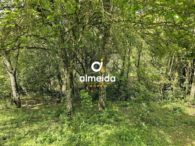 Imagem 4: Chácara 2 Dormitórios À Venda Km 3 santa Maria/Rs