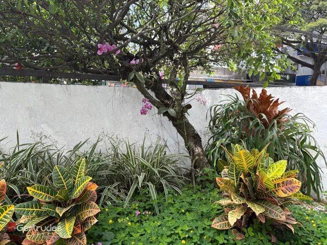 Imagem 14: Apartment em Vila Velha - Espírito Santo, Praia da Costa