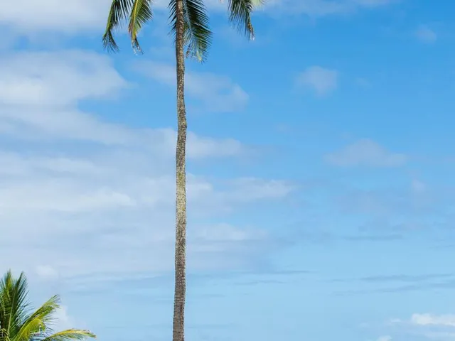 Imagem 3: Casa para Venda em Marau com 5 Quartos, Sendo 5 Suítes, 900M²