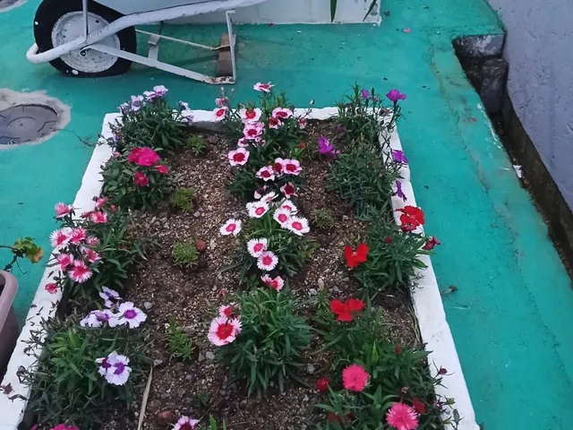 Imagem 13: Casa Completa, Espaçosa e Perfeita para Viver Bons Momentos em Família
