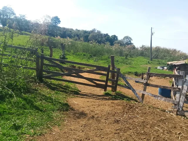 Imagem 16: Terreno Completo com 8 Alqueires ? Próximo a Rio Manso