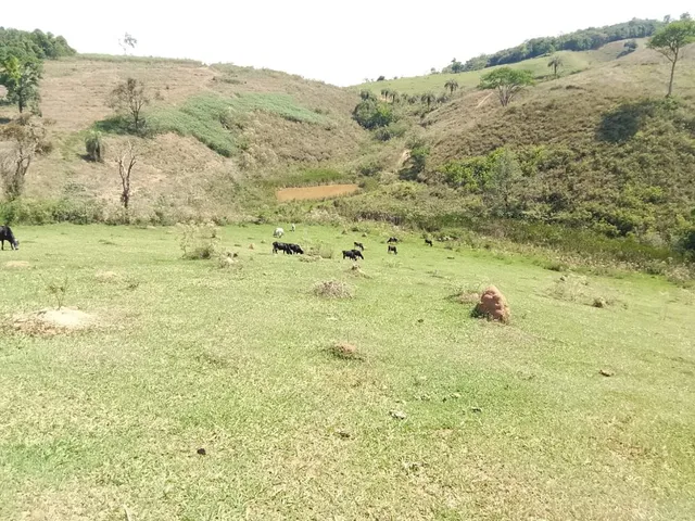 Imagem 5: Terreno Completo com 8 Alqueires ? Próximo a Rio Manso