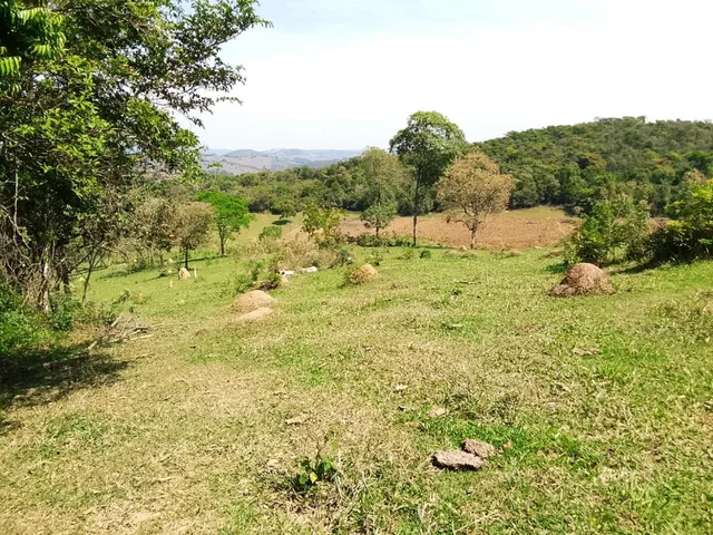 Imagem 6: Terreno Completo com 8 Alqueires ? Próximo a Rio Manso