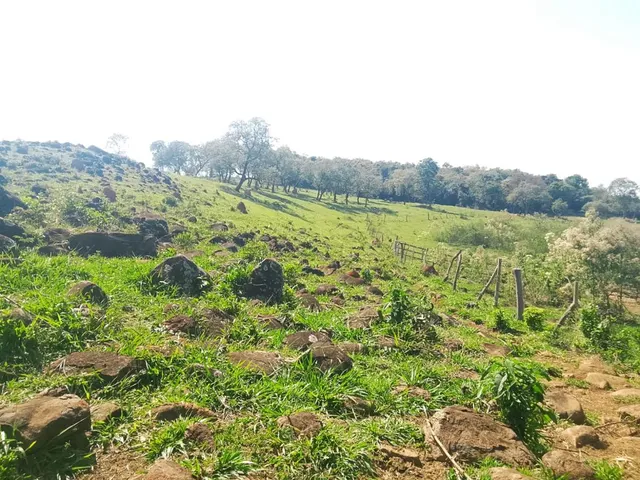 Imagem 10: Terreno Completo com 8 Alqueires ? Próximo a Rio Manso