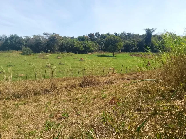 Imagem 11: Terreno Completo com 8 Alqueires ? Próximo a Rio Manso