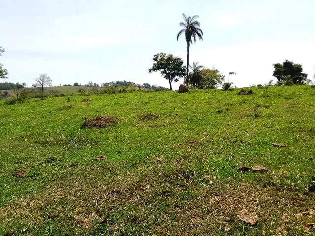 Imagem 12: Terreno Completo com 8 Alqueires ? Próximo a Rio Manso