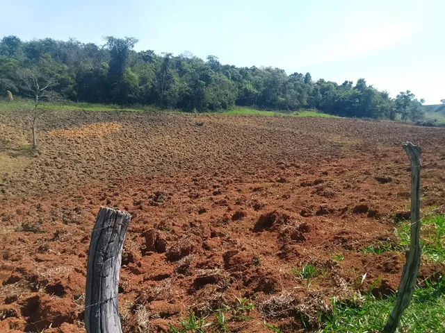 Imagem 14: Terreno Completo com 8 Alqueires ? Próximo a Rio Manso