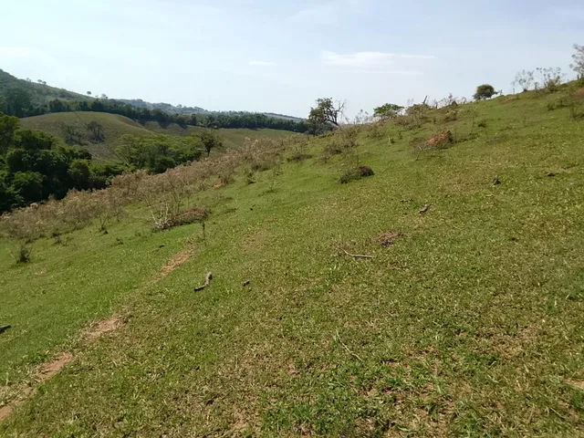 Imagem 15: Terreno Completo com 8 Alqueires ? Próximo a Rio Manso